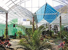 2006年,云南大理,蝴蝶馆 ,PTS 10mm蓝色草绿透明,1800平方米