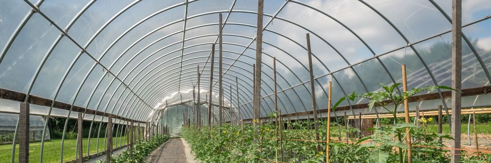 Greenhouse plastic roofing